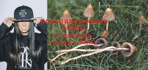 не бодяженный Ладушкин