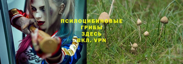 не бодяженный Ладушкин