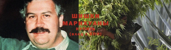 не бодяженный Ладушкин